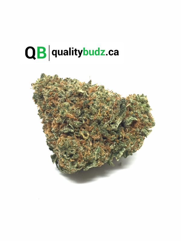 QualityBudz Mail Order Marijuana