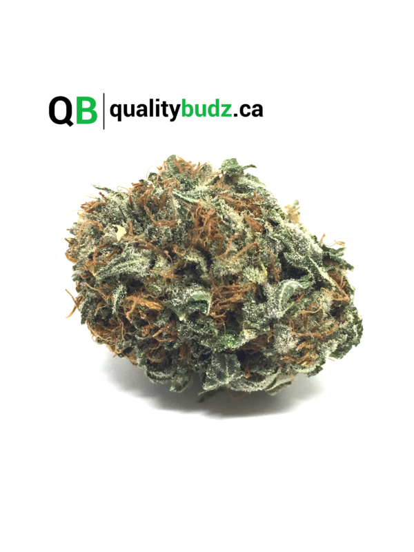 QualityBudz Mail Order Marijuana