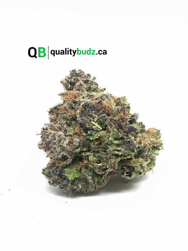 QualityBudz Mail Order Marijuana