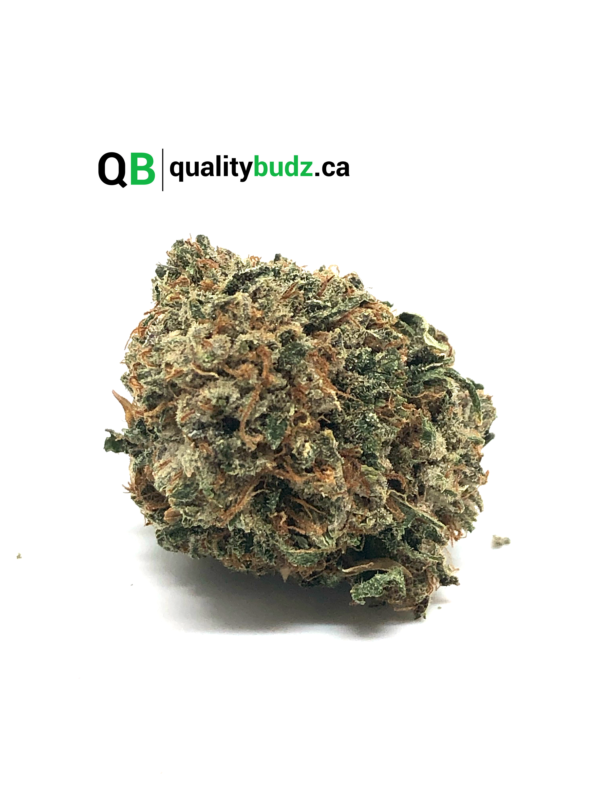 QualityBudz Mail Order Marijuana