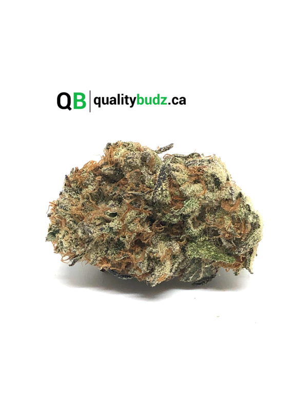 QualityBudz Mail Order Marijuana