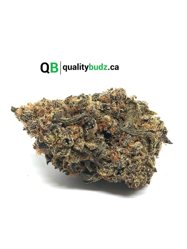 QualityBudz Mail Order Marijuana