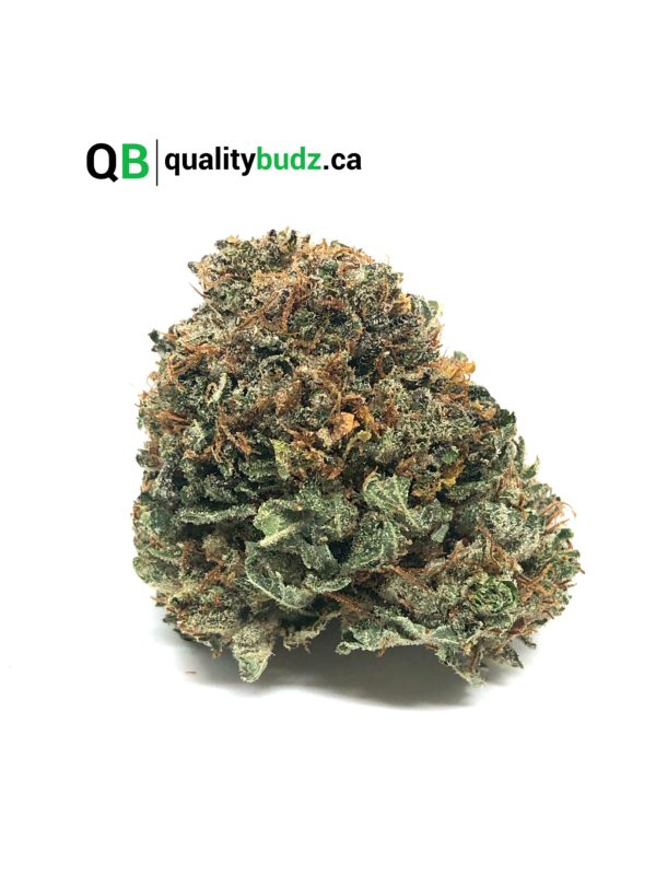 QualityBudz Mail Order Marijuana