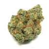 MANGO PAPAYA